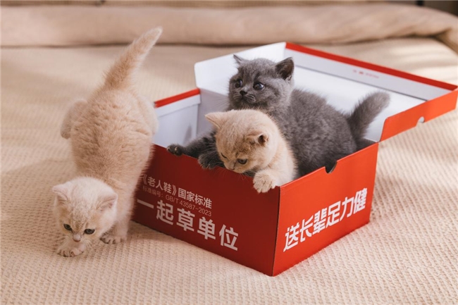 从明星矩阵到萌猫 IP：足力健品牌焕新背后的消费逻辑重构